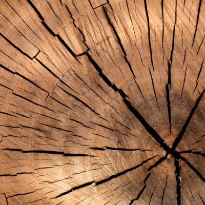 background-brown-circle-cut-40973 background-brown-circle-cut-40973