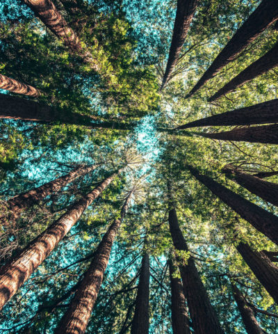 casey-horner-487085-unsplash casey-horner-487085-unsplash
