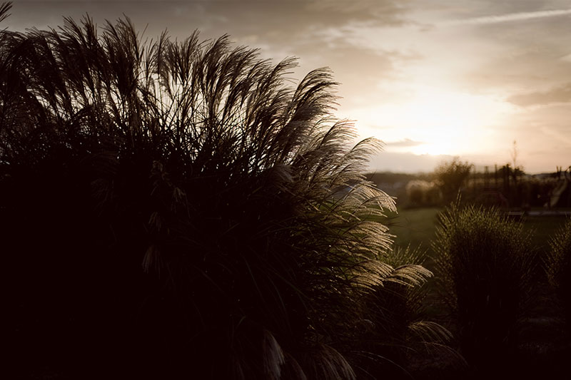 Was ist Fengshui und wie kann es unser Leben beeinflussen? Gerda